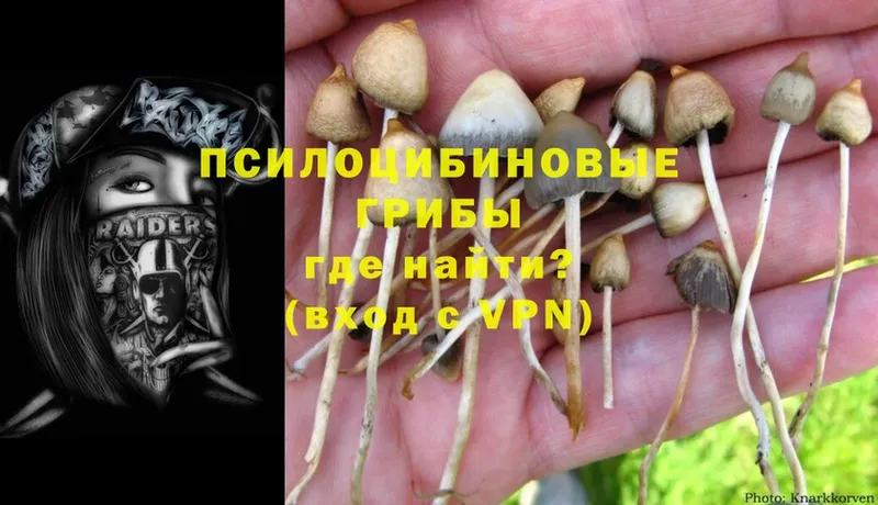 даркнет сайт  Любань  Псилоцибиновые грибы Cubensis 